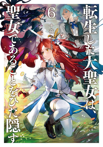 TALE OF THE SECRET SAINT GN VOL 05 (RES) (C: 0-1-1)