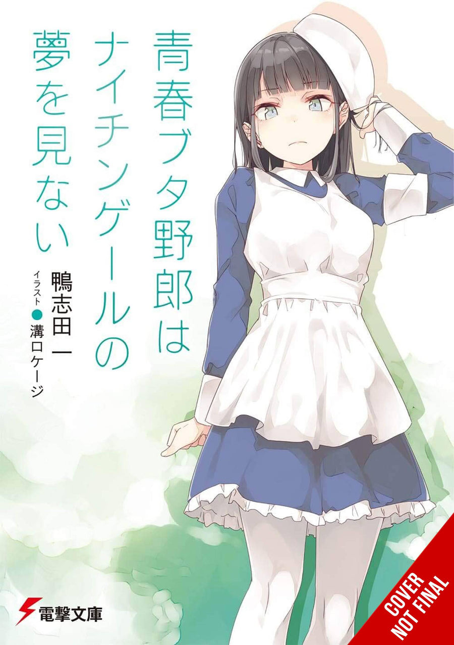 RASCAL DOES NOT DREAM LIGHT NOVEL SC VOL 11 (C: 0-1-2)