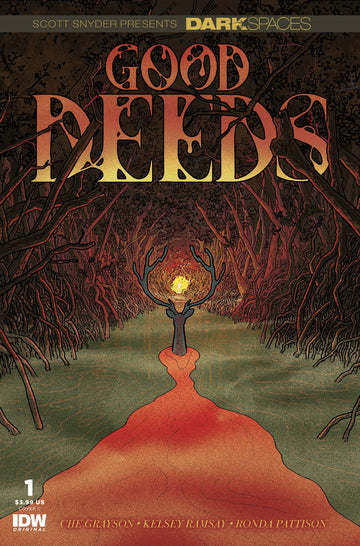 DARK SPACES GOOD DEEDS #1 CVR C SHERMAN (MR)