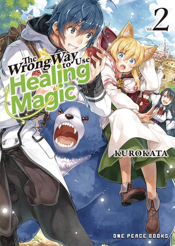 WRONG WAY USE HEALING MAGIC L NOVEL VOL 02 (C: 0-1-2)