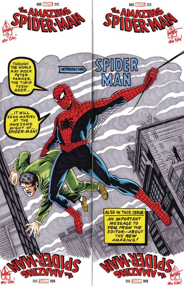 DF AMAZING SPIDERMAN FOUR PIECE HAESER SGN SKETCH (C: 0-1-2)